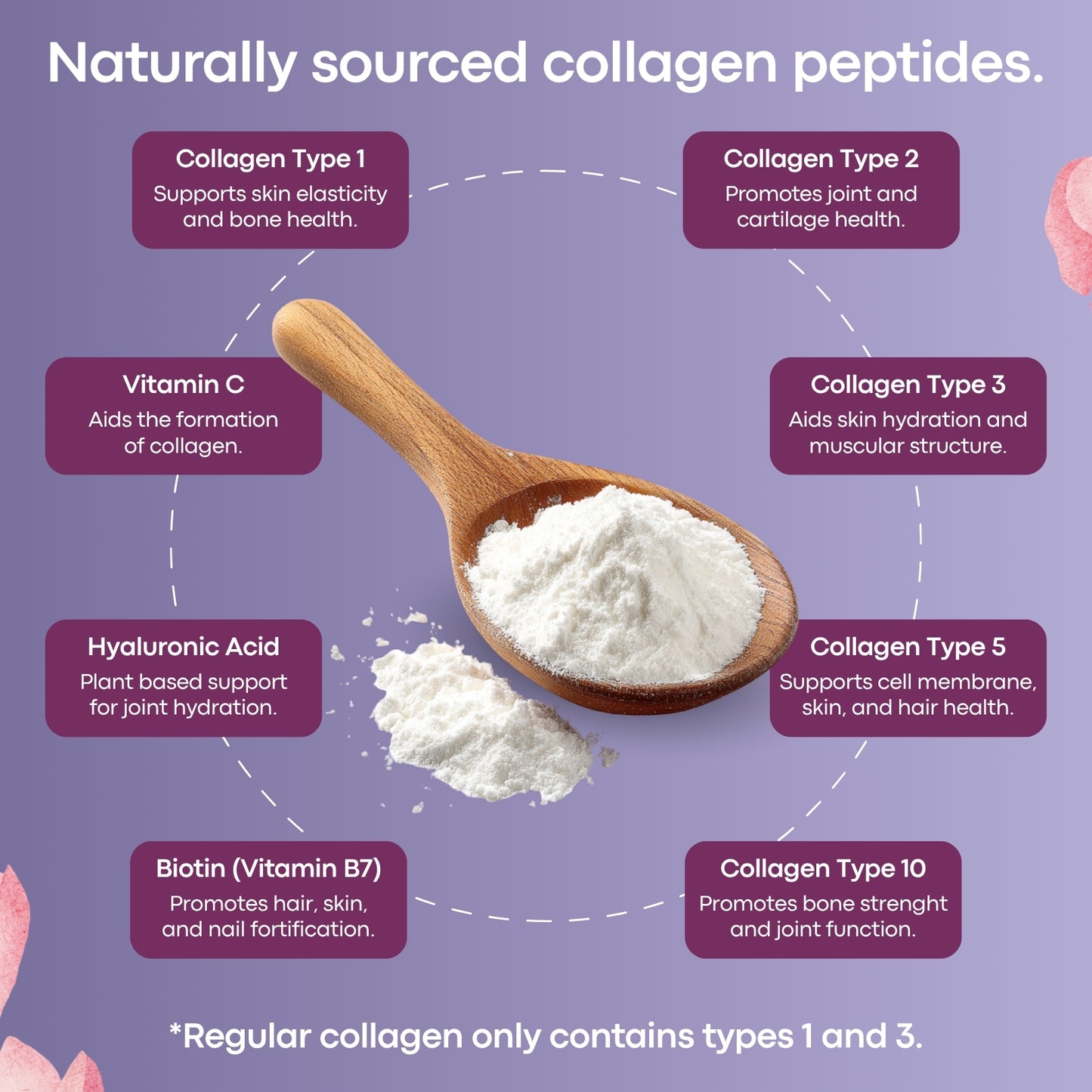 Multi Collagen Complex